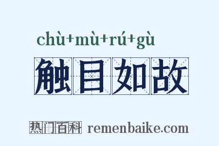 触目如故是什么意思的图片